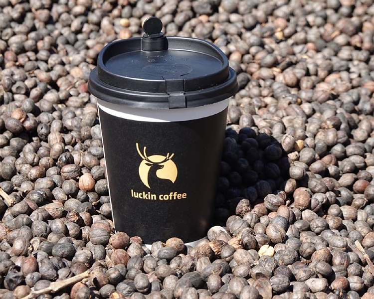 瑞幸咖啡县城加盟需要多少钱，瑞幸加盟条件和加盟流程